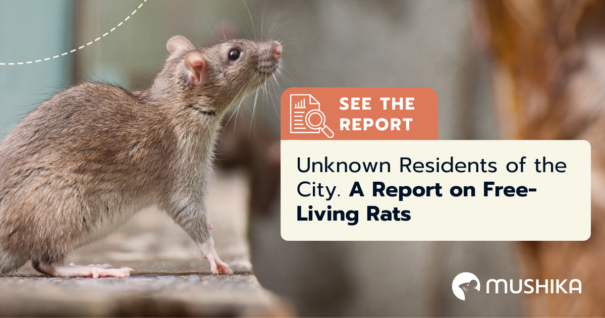 Unknown Residents of the City. A Report on Free-Living Rats