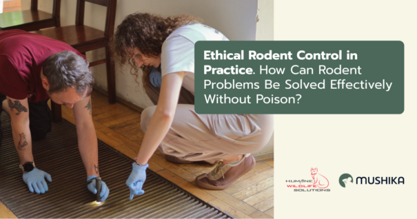 Ethical Rodent Control in Practice. How Can Rodent Problems Be Solved Effectively Without Poison?