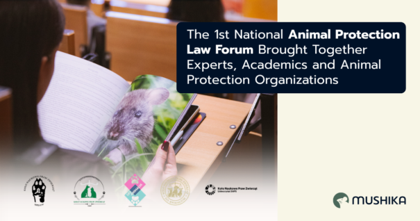 The 1st National Animal Protection Law Forum Brought Together Experts, Academics and Animal Protection Organizations