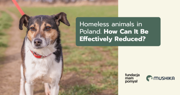 Homeless animals in Poland. How Can It Be Effectively Reduced?