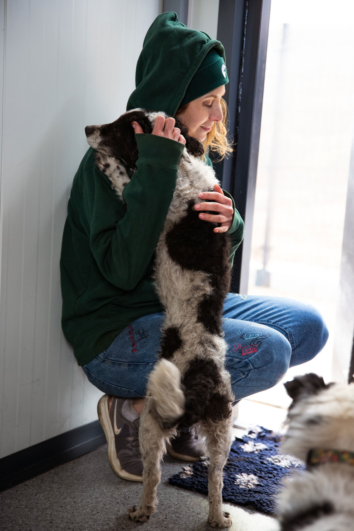 Help the animals – The Mushika Foundation